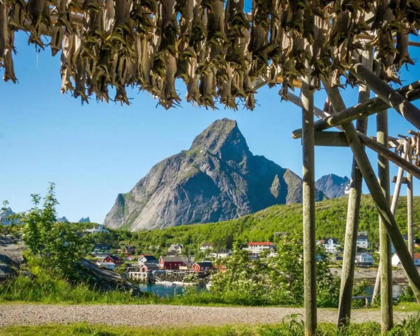 Madelhea Cabin- Seaview Lodge Reine Buitenkant foto